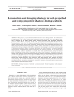 Locomotion and foraging strategy in foot-propelled and wing-propelled shallow-diving seabirds