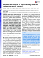 Assembly and transfer of tripartite integrative and conjugative genetic elements