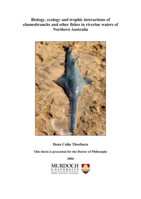 Biology, ecology and trophic interactions of elasmobranchs and other fishes in riverine waters of Northern Australia