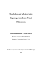 Metabolism and infection in the stagonospora nodorum-wheat pathosystem