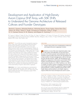 Development and application of High‐Density axiom cajanus SNP array with 56K SNPs to understand the genome architecture of released cultivars and founder genotypes