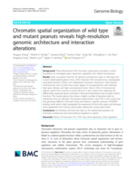 Chromatin spatial organization of wild type and mutant peanuts reveals high-resolution genomic architecture and interaction alterations
