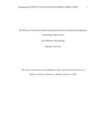 The efficacy of non-invasive brain stimulation protocols for inducing neuroplasticity