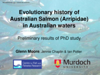 The evolutionary history of Australian salmon (Arripidae) in Australian waters
