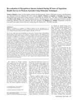 Re-evaluation of phytophthora species isolated during 30 years of vegetation health surveys in Western Australia using molecular techniques
