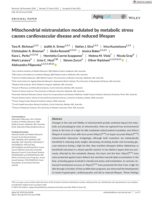Mitochondrial mistranslation modulated by metabolic stress causes cardiovascular disease and reduced lifespan