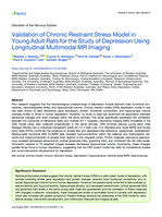 Validation of chronic restraint stress model in young adult rats for the study of depression using longitudinal multimodal MR imaging