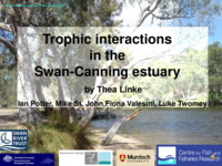 Trophic interactions in the Swan-Canning Estuary