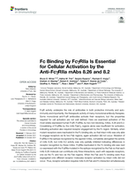 Fc Binding by FcγRIIa Is Essential for Cellular Activation by the Anti-FcγRIIa mAbs 8.26 and 8.2