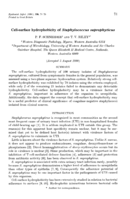 Cell-surface hydrophobicity of Staphylococcus saprophyticus