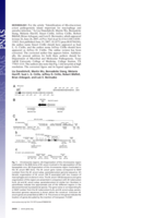 Correction for Johnson et al., Ancient bacteria show evidence of DNA repair