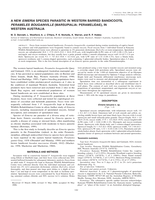 A new Eimeria species parasitic in western barred bandicoots, Perameles bougainville (Marsupialia: Peramelidae), in Western Australia