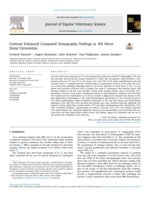 Contrast enhanced computed tomography findings in 105 horse distal extremities
