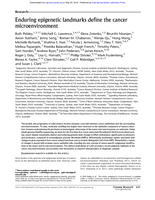 Enduring epigenetic landmarks define the cancer microenvironment