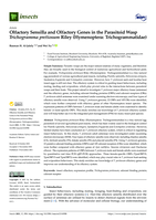 Olfactory sensilla and olfactory genes in the parasitoid wasp Trichogramma pretiosum Riley (Hymenoptera: Trichogrammatidae)
