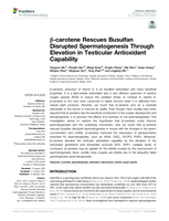 β-carotene rescues busulfan disrupted spermatogenesis through elevation in testicular antioxidant capability