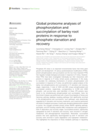 Global proteome analyses of phosphorylation and succinylation of barley root proteins in response to phosphate starvation and recovery