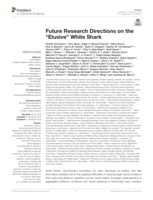 Future research directions on the “Elusive” White Shark