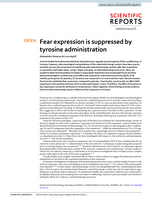 Fear expression is suppressed by tyrosine administration