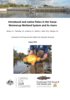 Introduced and native fishes in the Vasse‐Wonnerup Wetland System and its rivers. Report to the Australian Government through its Caring for our Country Program