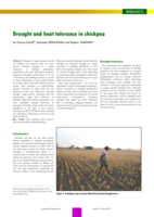 Drought and heat tolerance in chickpea