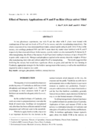 Effect of nursery applications of N and P on rice (Oryza sativa) yield