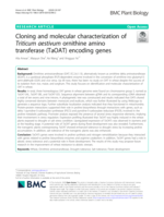 Cloning and molecular characterization of Triticum aestivum ornithine amino transferase (TaOAT) encoding genes