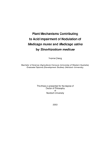 Plant mechanisms contributing to acid impairment of nodulation of Medicago murex and Medicago sativa by Sinorhizobium medicae