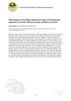 What happens to the DNA of Rhizoctonia solani and Pratylenchus neglectus in soil under different storage conditions over time?