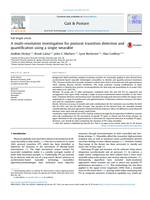 A multi-resolution investigation for postural transition detection and quantification using a single wearable