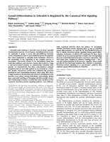 Gonad differentiation in Zebrafish is regulated by the canonical Wnt signaling pathway