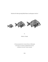 Selection for faster growing black bream Acanthopagrus butcheri
