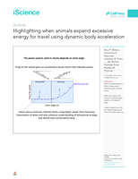 Highlighting when animals expend excessive energy for travel using dynamic body acceleration