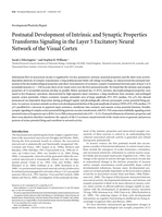 Postnatal development of intrinsic and synaptic properties transforms signaling in the Layer 5 excitatory neural network of the visual cortex
