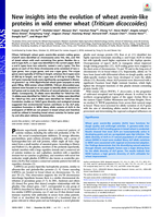 New insights into the evolution of wheat avenin-like proteins in wild emmer wheat (Triticum dicoccoides)