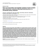 Gene-set association and epistatic analyses reveal complex gene interaction networks affecting flowering time in a worldwide barley collection