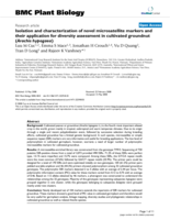 Isolation and characterization of novel microsatellite markers and their application for diversity assessment in cultivated groundnut (Arachis hypogaea)