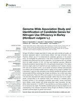 Genome-wide association study and identification of candidate genes for nitrogen use efficiency in barley (Hordeum vulgare L.)
