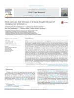 Shoot traits and their relevance in terminal drought tolerance of chickpea ( Cicer arietinum L.)