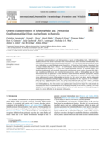 Genetic characterisation of Echinocephalus spp. (Nematoda: Gnathostomatidae) from marine hosts in Australia