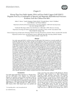 Kiruna-Type Iron Oxide-Apatite (IOA) and Iron Oxide Copper-Gold (IOCG) Deposits Form by a Combination of Igneous and Magmatic-Hydrothermal Processes: Evidence from the Chilean Iron Belt