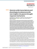 Genome-wide transcriptome and physiological analyses provide new insights into peanut drought response mechanisms