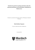 Selection for growth, muscling and fatness alters the maternal performance and intermediary metabolism of Merino ewes