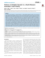 Patterns of dolphin bycatch in a north-western Australian trawl fishery