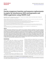 Precise exogenous insertion and sequence replacements in poplar by simultaneous HDR overexpression and NHEJ suppression using CRISPR-Cas9