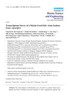 Transcriptome survey of a marine food fish: Asian seabass (Lates calcarifer)