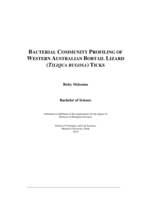 Bacterial community profiling of Western Australia Bobtail Lizard (Tiliqua Rugosa) ticks