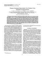 Human intestinal spirochetes are distinct from Serpulina hyodysenteriae