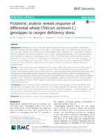Proteomic analysis reveals response of differential wheat (Triticum aestivum L.) genotypes to oxygen deficiency stress
