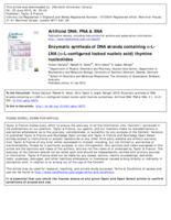 Enzymatic synthesis of DNA strands containing α-L-LNA (α-L-configured locked nucleic acid) thymine nucleotides